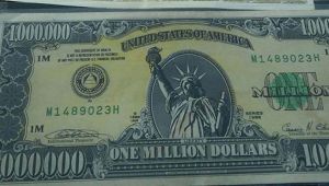 Uşak'ta 1 milyon dolarlık banknot yakalandı