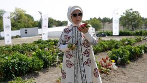 Emine Erdo?an, Ata Tohumu Projesi tan?t?m toplant?s?na kat?ld?