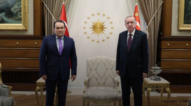 Cumhurba?kan? Erdo?an, Trk Konseyi Genel Sekreteri Amreyevi kabul etti