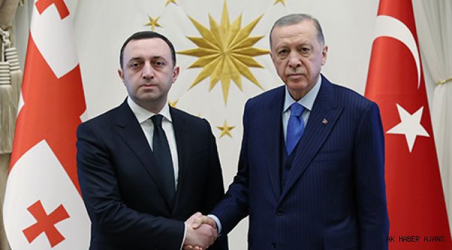 Cumhurba?kan? Erdo?an, Grcistan Ba?bakan? Gariba?vili ile gr?t