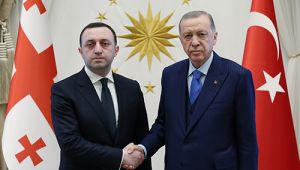 Cumhurba?kan? Erdo?an, Grcistan Ba?bakan? Gariba?vili ile gr?t